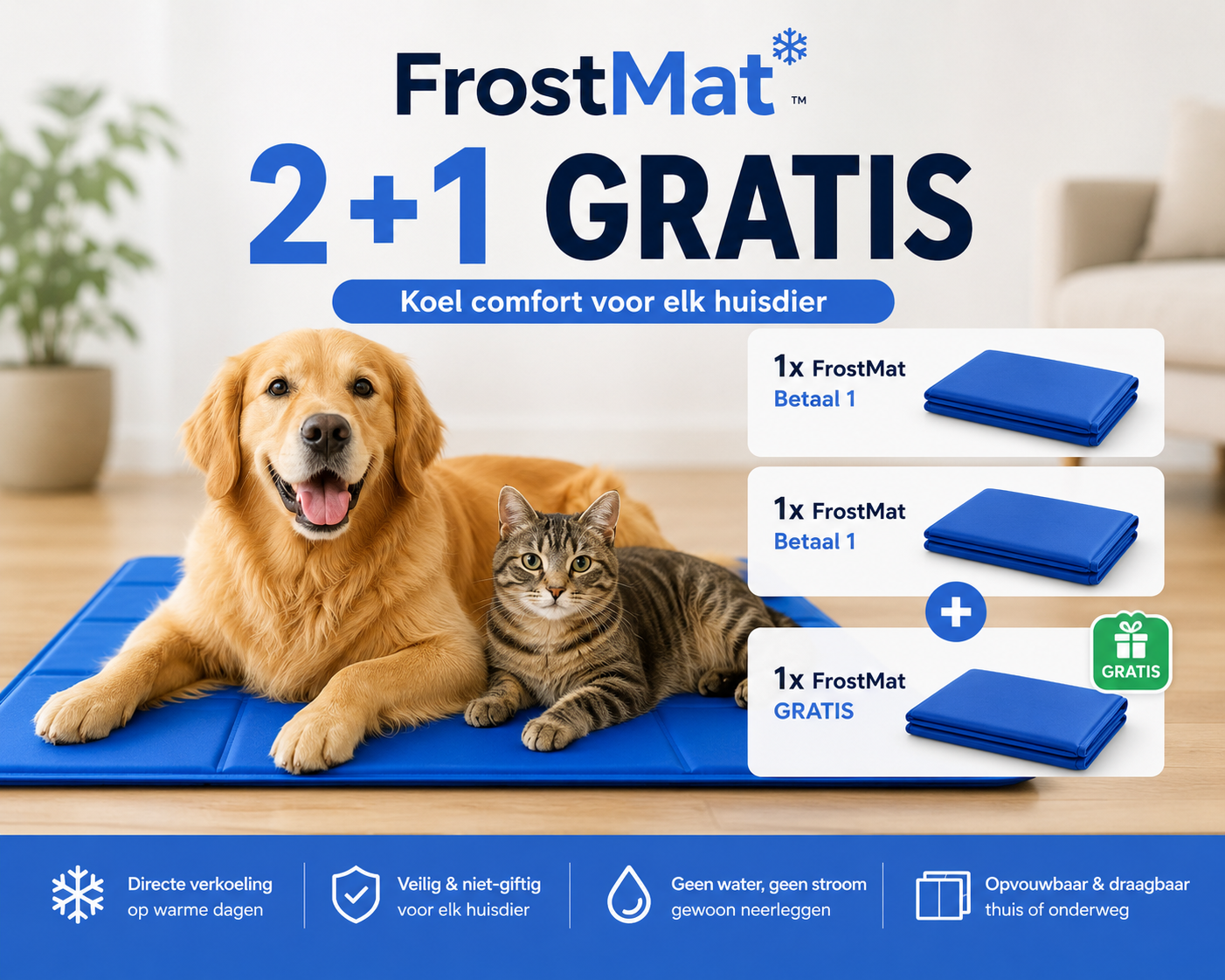 FrostMat❄️